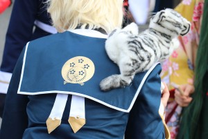 美作市湯郷温泉コスプレ